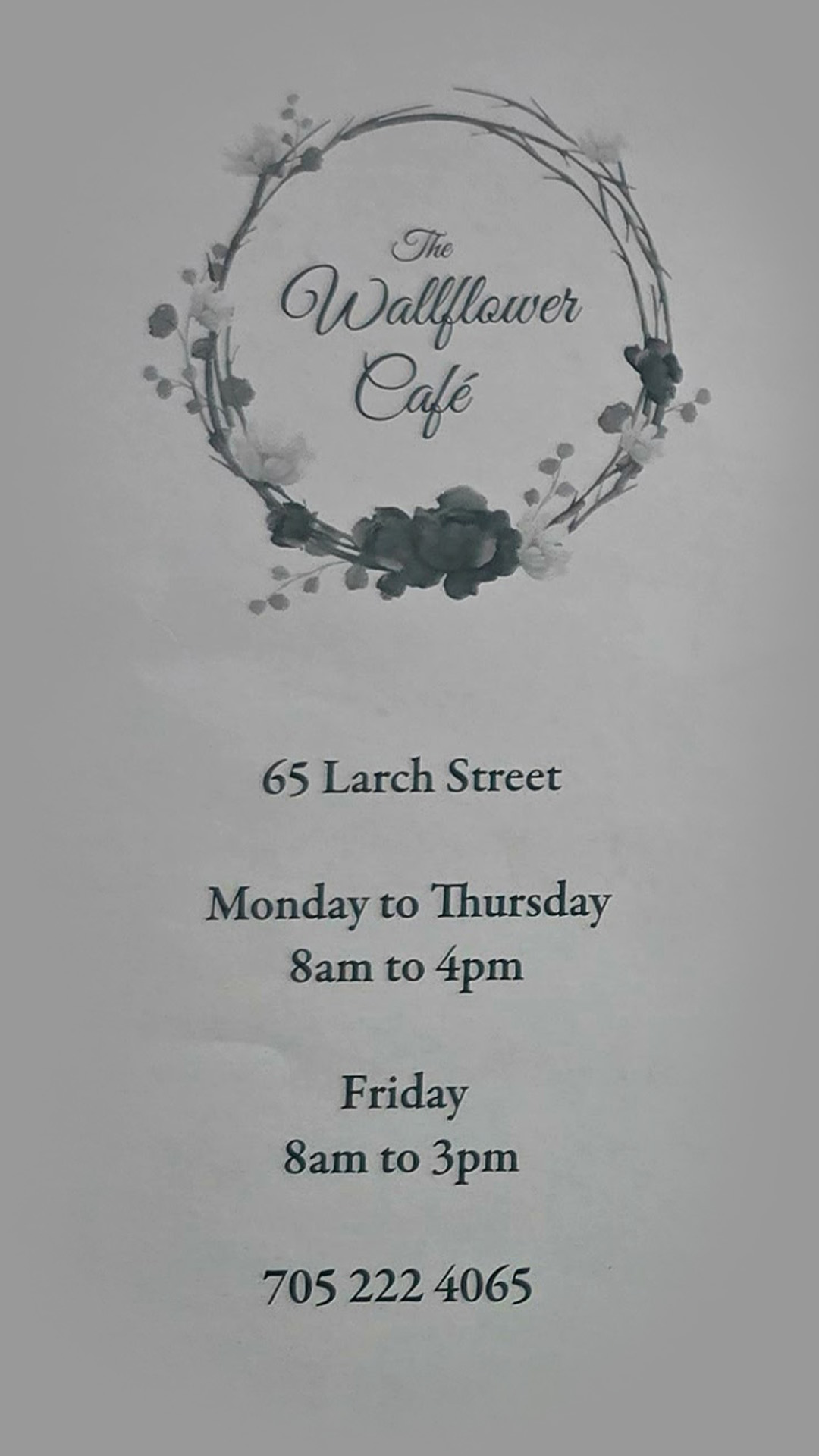 The Wallflower Cafe
